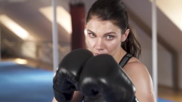 Sporty Focalizzato Bruna Donna Boxe Fotocamera Facendo Jab Punzoni Ganci — Video Stock