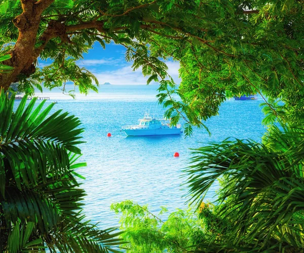 Deniz Manzaralı dalları ile