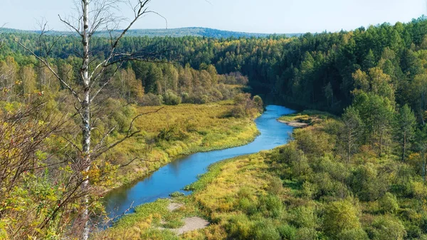 Ormandaki nehir. Ural, Rusya Federasyonu