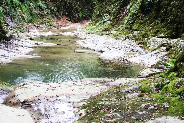 Un pequeño río desemboca en el valle de las montañas del Cáucaso . — Foto de Stock