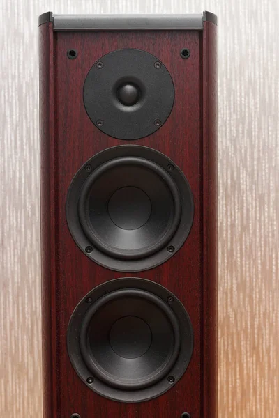 Üç hoparlör ile ahşap akustik ses sistemi.