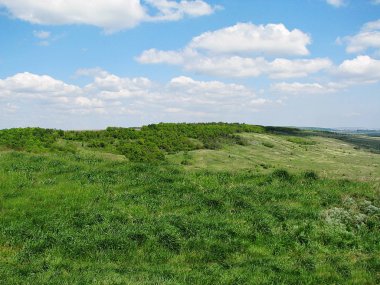 Bir yaz günü güzel manzara.