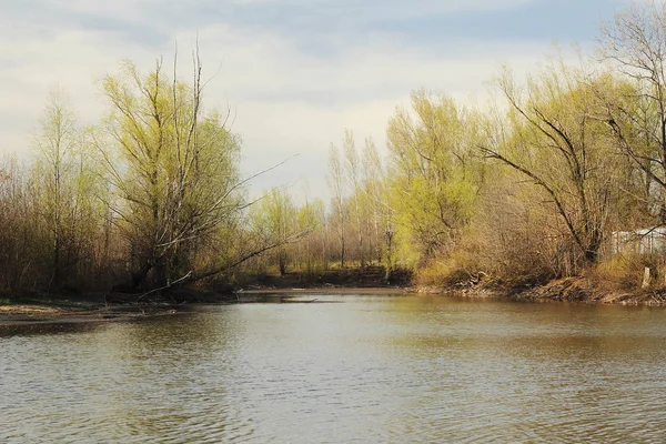 Lesní jezero v jarní slunečný den. — Stock fotografie