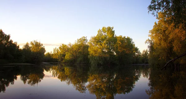 Lindo lago na floresta à noite . — Fotografia de Stock