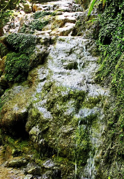 Una pendiente empinada de una montaña cubierta de musgo . —  Fotos de Stock