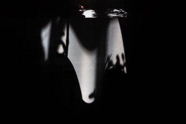 Perde siyah-beyaz desen.