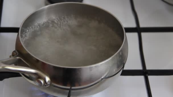 Vrouw Kookt Bevroren Zelfgemaakte Dumplings Een Gasfornuis — Stockvideo