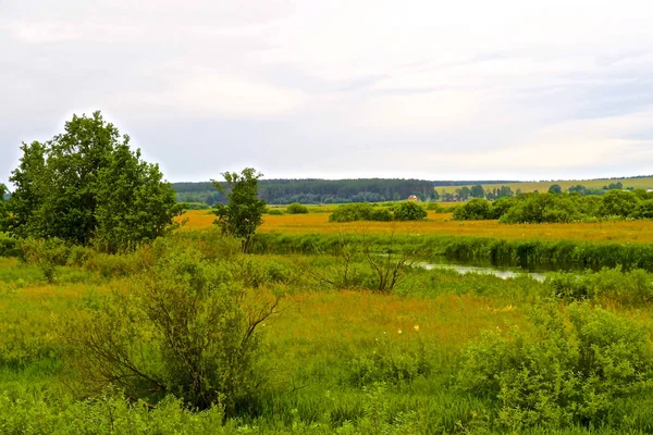 Neman river and green meadows in Belarus — Stock Photo, Image