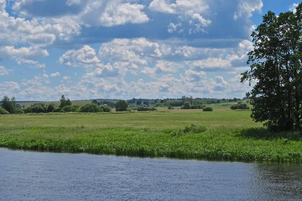 Neman River och gröna ängar i Vitryssland — Stockfoto