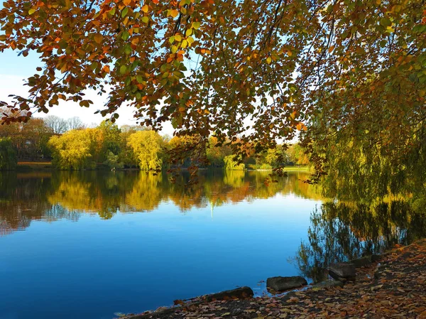 Jezioro w parku w jesieni — Zdjęcie stockowe