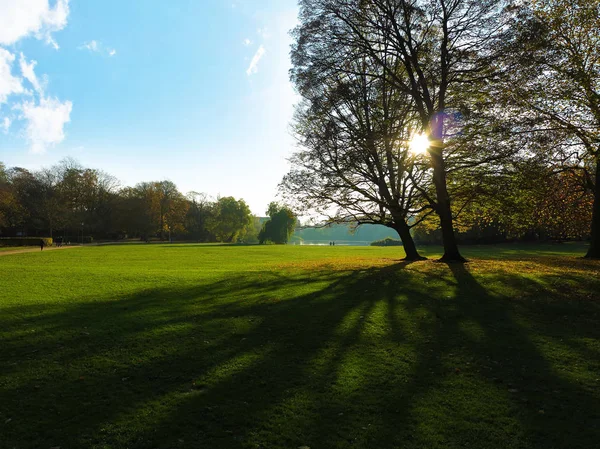 Árvores em um parque em contre jour com raios de sol — Fotografia de Stock