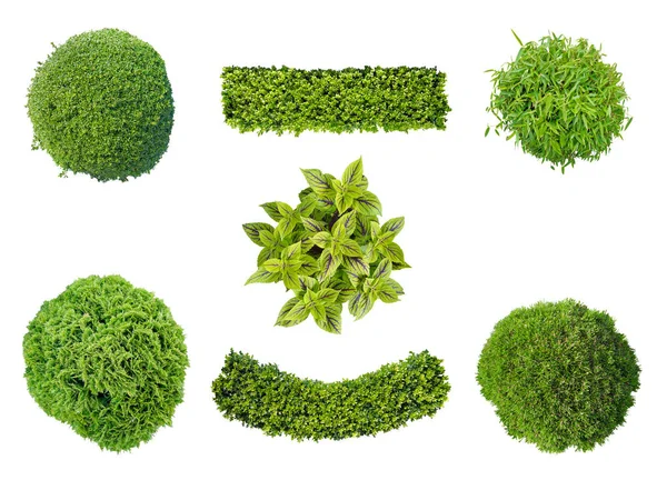 Set of plants in top view isolated on white background — Stock Photo, Image