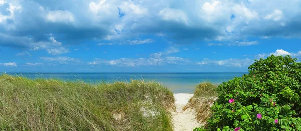Panoramico mare baltico spiaggia paesaggio — Foto Stock