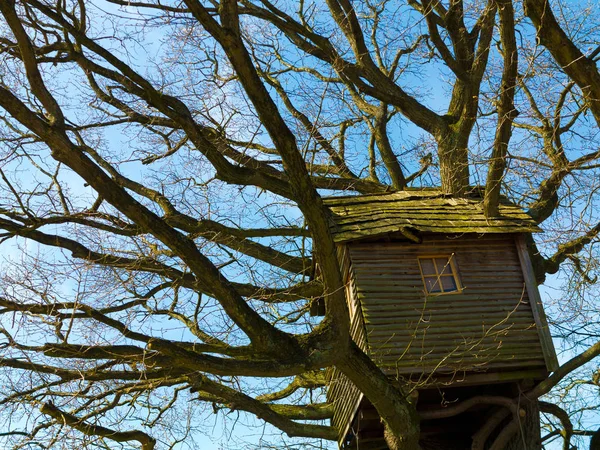 Nostalgické Staré Omšelé Dřevěné Treehouse Vysoko Stromě Zimní — Stock fotografie