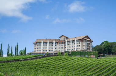 Bento Golçalves , Brasil, October 08 - 2017: Luxury Hotel, Vine