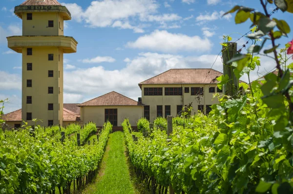 Bento Golçalves , Brasil, October 08 - 2017: Luxury Winery, Vin — Stock Photo, Image