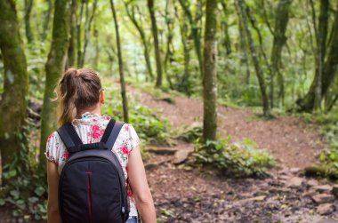 Büyük kavram Trail, genç kadının yürüyüş arkadan görünüm.