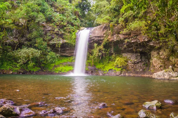 Su hareketli güzel şelale büyük açısı.