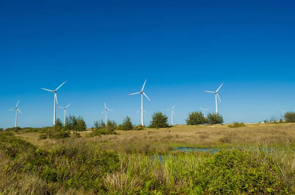 Great Concept Renewable Sustainable Energy Wind Field Wind Turbines Producing Royalty Free Stock Images