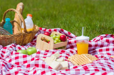 Harika bir piknik konsepti. Meyve suyu ve meyve suyu ile güzel manzaralı yeşil çimlerde.