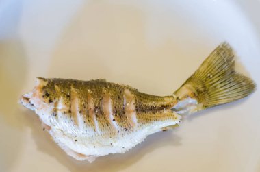 Siyah bas balık kavrulmuş plaka üzerinde sağlıklı beslenme.