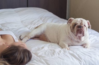 İngilizce bulldog köpek yavrusu ile yatakta uyuyan güzel kadın.