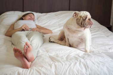 İngilizce bulldog köpek yavrusu ile yatakta uyuyan güzel kadın. Sadece ayak.