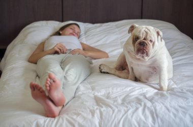 İngilizce bulldog köpek yavrusu ile yatakta uyuyan güzel kadın. Sadece ayak.