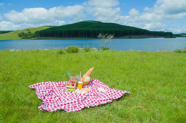 Great concept of pic-nic, pic-nic with fruits and juice on green lawn with beautiful view