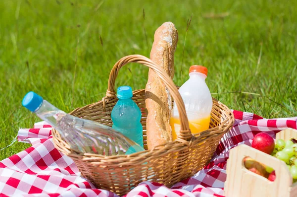 Great concept of pic-nic, pic-nic with fruits and juice on green lawn with beautiful view