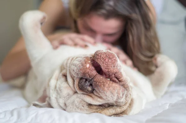 Beautiful Woman Playing Bed English Bulldog English Dog — Stock Photo, Image