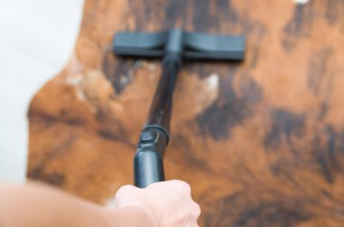 Kat, vakumlama büyük kavram ev temizliği, halı.