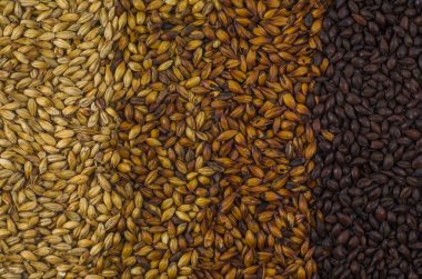 Doku arpa malt bira, soluk ale mal bir siyah için 4 tür. Gradyan Rengi.