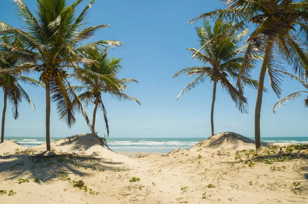 Bela vista de Mangue Seco na Bahia, pequena praia de pescadores — Fotografia de Stock