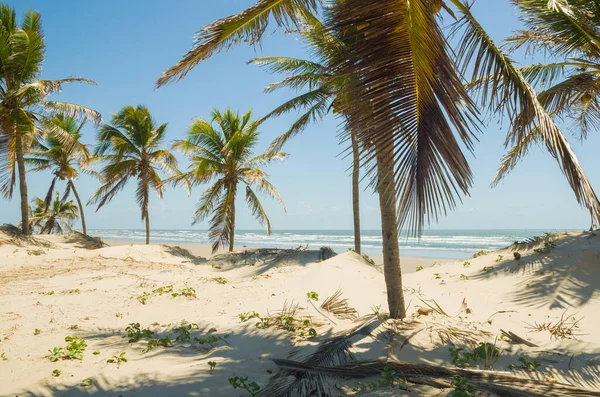 Bella vista di Mangue Seco a Bahia, piccola spiaggia di pescatori — Foto Stock