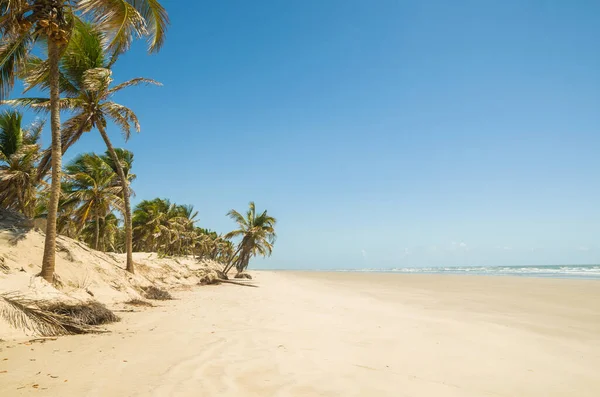 Beautiful view of Mangue Seco in Bahia, small fisherman's beach Stock Image