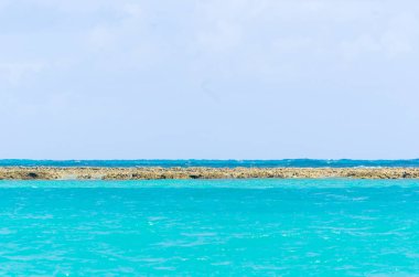 Alagoas Brezilya 'daki Maragogi plajının mercan bariyeri