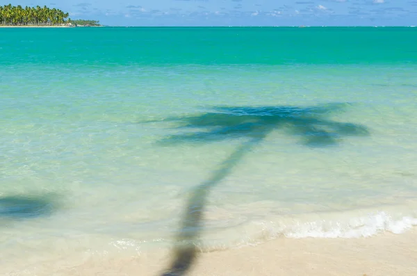 Holiday shadow, beautiful image of Carneiros beach in Pernanbuco — Stock Photo, Image
