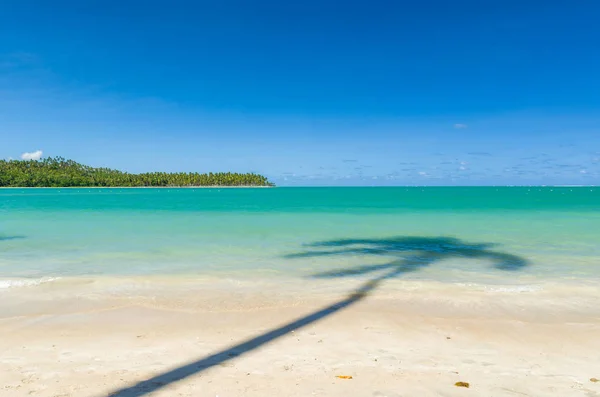 Holiday shadow, beautiful image of Carneiros beach in Pernanbuco — Stock Photo, Image