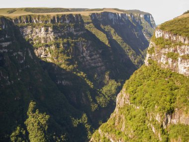 Fortaleza Kanyonu 'nun güzel manzarası ve yeşil yağmur ormanı, Cambara do Sul, Rio Grande do Sul, Brezilya