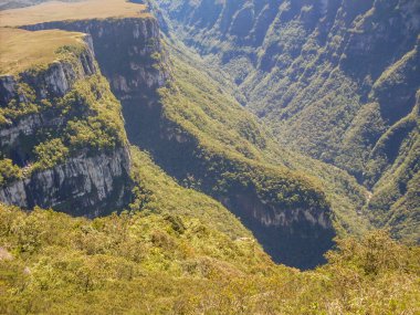 Fortaleza Kanyonu 'nun güzel manzarası ve yeşil yağmur ormanı, Cambara do Sul, Rio Grande do Sul, Brezilya