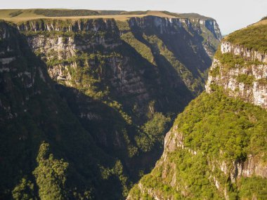 Fortaleza Kanyonu 'nun güzel manzarası ve yeşil yağmur ormanı, Cambara do Sul, Rio Grande do Sul, Brezilya