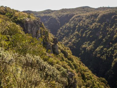 Fortaleza Kanyonu 'nun güzel manzarası ve yeşil yağmur ormanı, Cambara do Sul, Rio Grande do Sul, Brezilya
