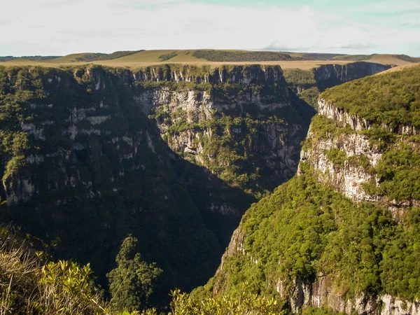 Hermoso Paisaje Del Cañón Fortaleza Selva Verde Cambara Sul Rio — Foto de Stock