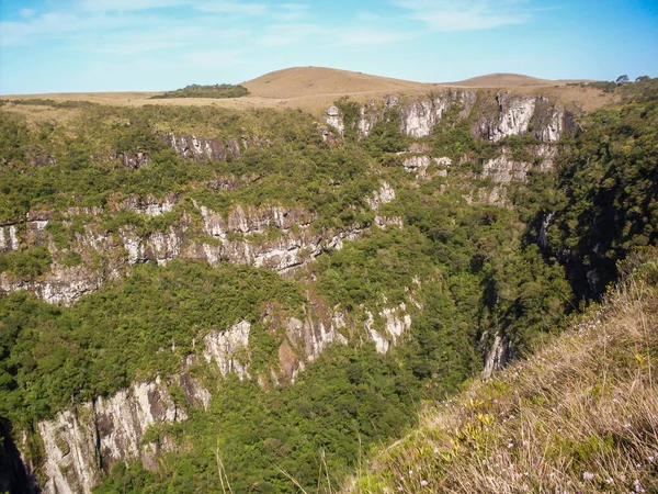 Prachtig Landschap Van Fortaleza Canyon Groen Regenwoud Cambara Sul Rio — Stockfoto
