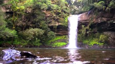 Brezilya 'nın Rio Grande do Sul şehrinde güzel bir şelale. Bu şelale doğa kaşifleri tarafından ziyaret edilen doğal ormanlarla çevrilidir..