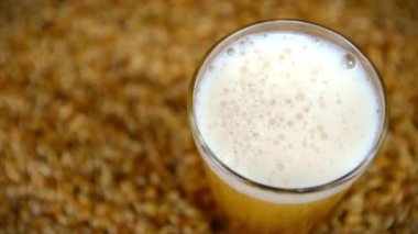 Koyu lager birası, arpa tanecikli bir masaya dökülür.