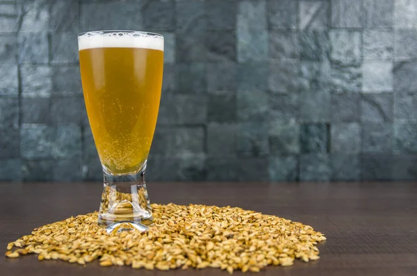 Glass Beer Viewed Malt Background — Stock Photo, Image