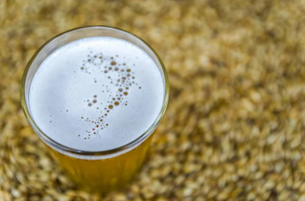 Glass Beer Viewed Malt Background — Stock Photo, Image