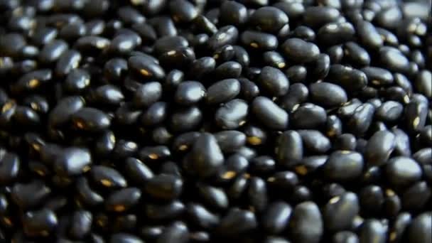 Raw Beans Grains Rotating Closet Various Uses — Stock Video
